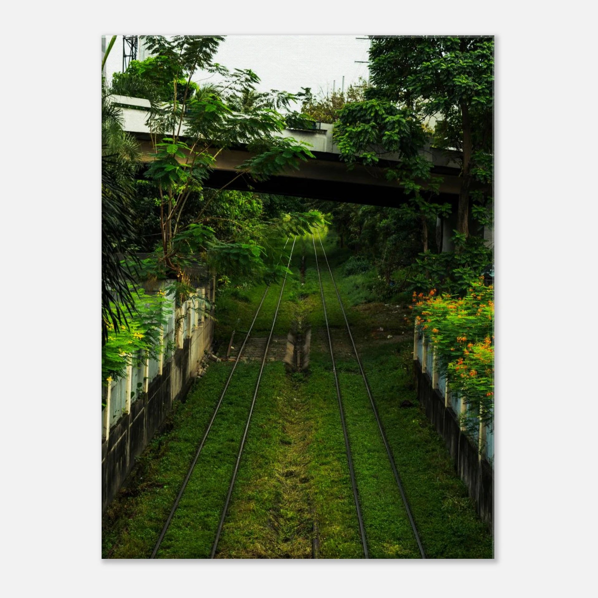 008defec-88a5-461d-8547-5e19d71365a8