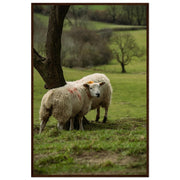03edbd67-3fd9-40a9-8bdb-56c3b249408f