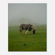 0beee782-dcf1-40c0-a02d-0909431b95fc