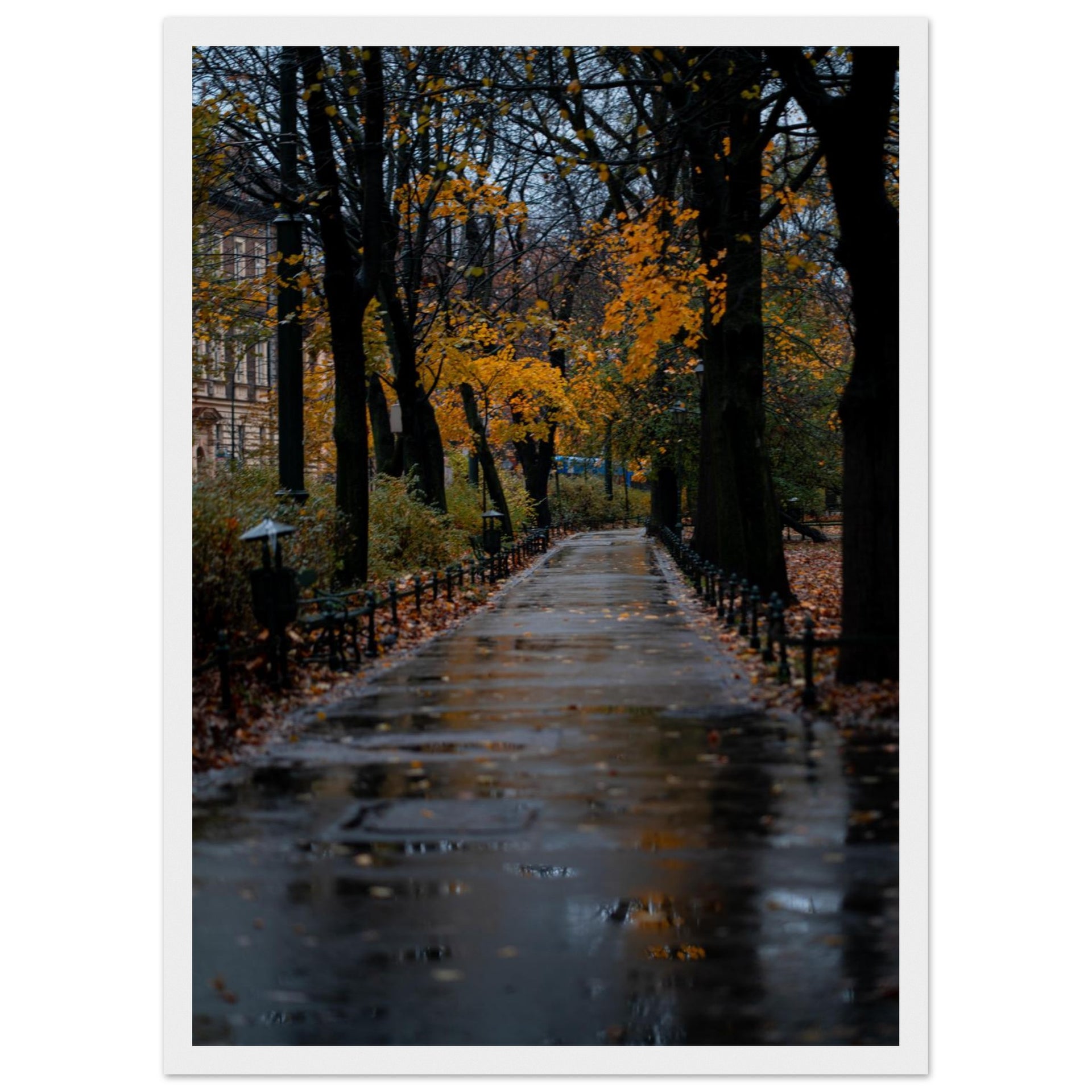 0cb85751-c718-4297-9539-bc187f808136