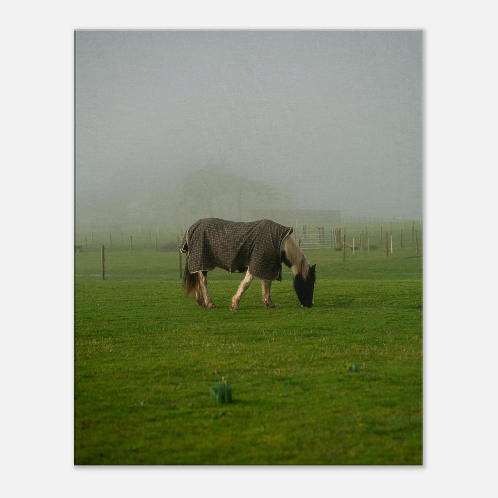 0f3851bb-c792-4d04-bd12-e2599c578c6a