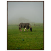 0f820bd7-233a-4b4f-aaca-f511ab9d3112