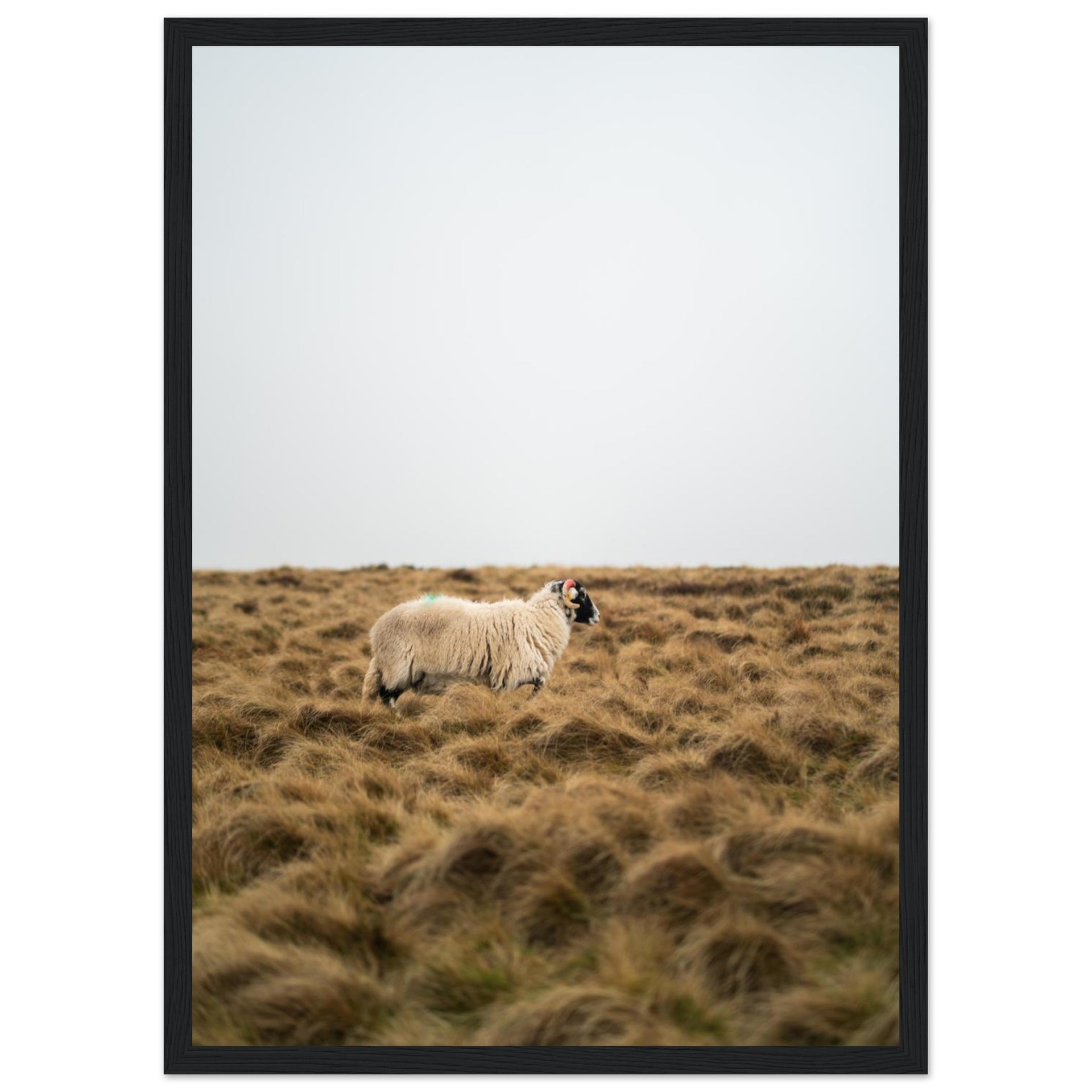 12c5a5eb-aad0-4301-a480-54e9c3834ffa