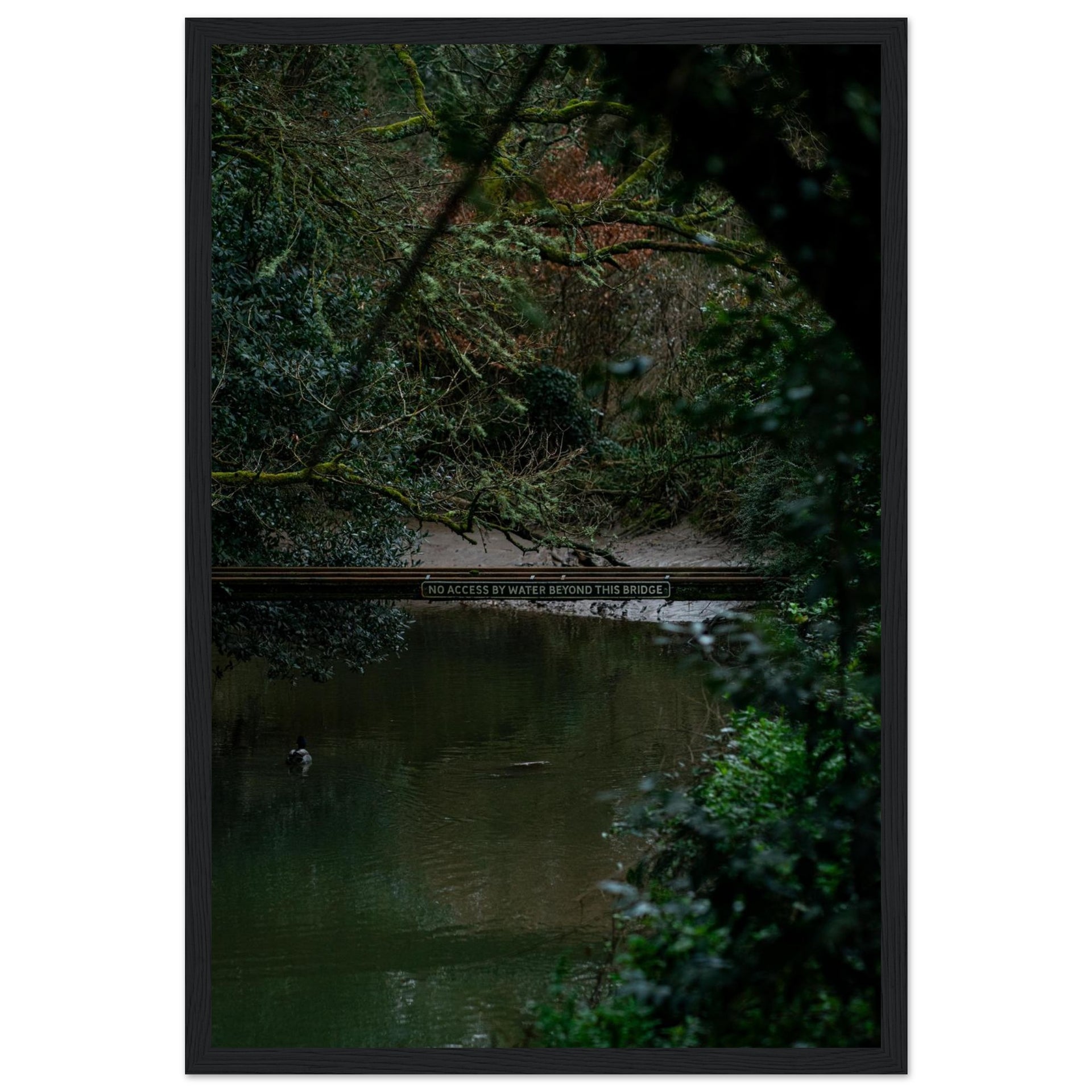 13c8a945-6e5d-4273-a20d-cc5823f16c72