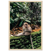 150b8b70-27b0-40c2-872a-ab2351c71802