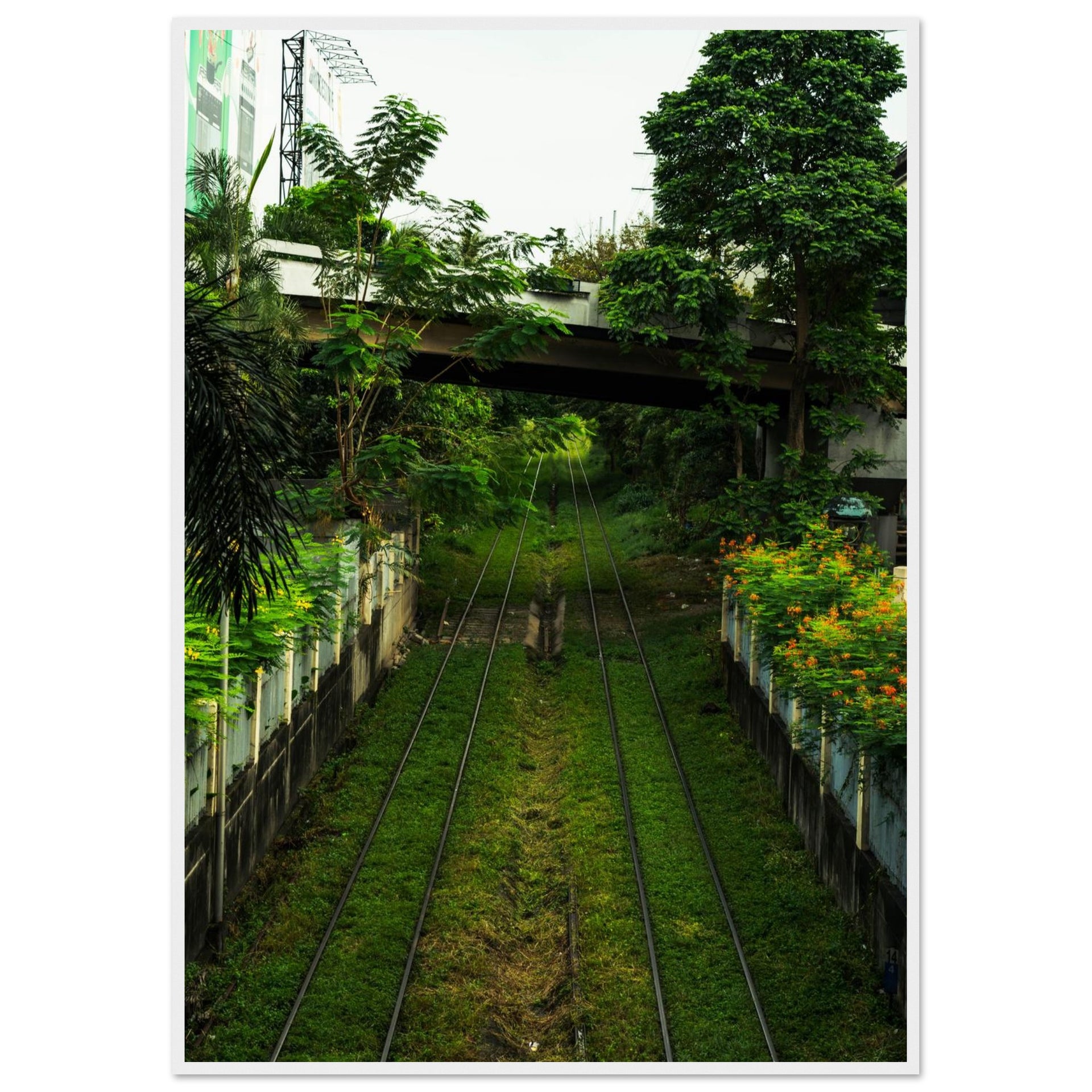 188edf67-cbd0-483a-a2c2-4885d63259e6