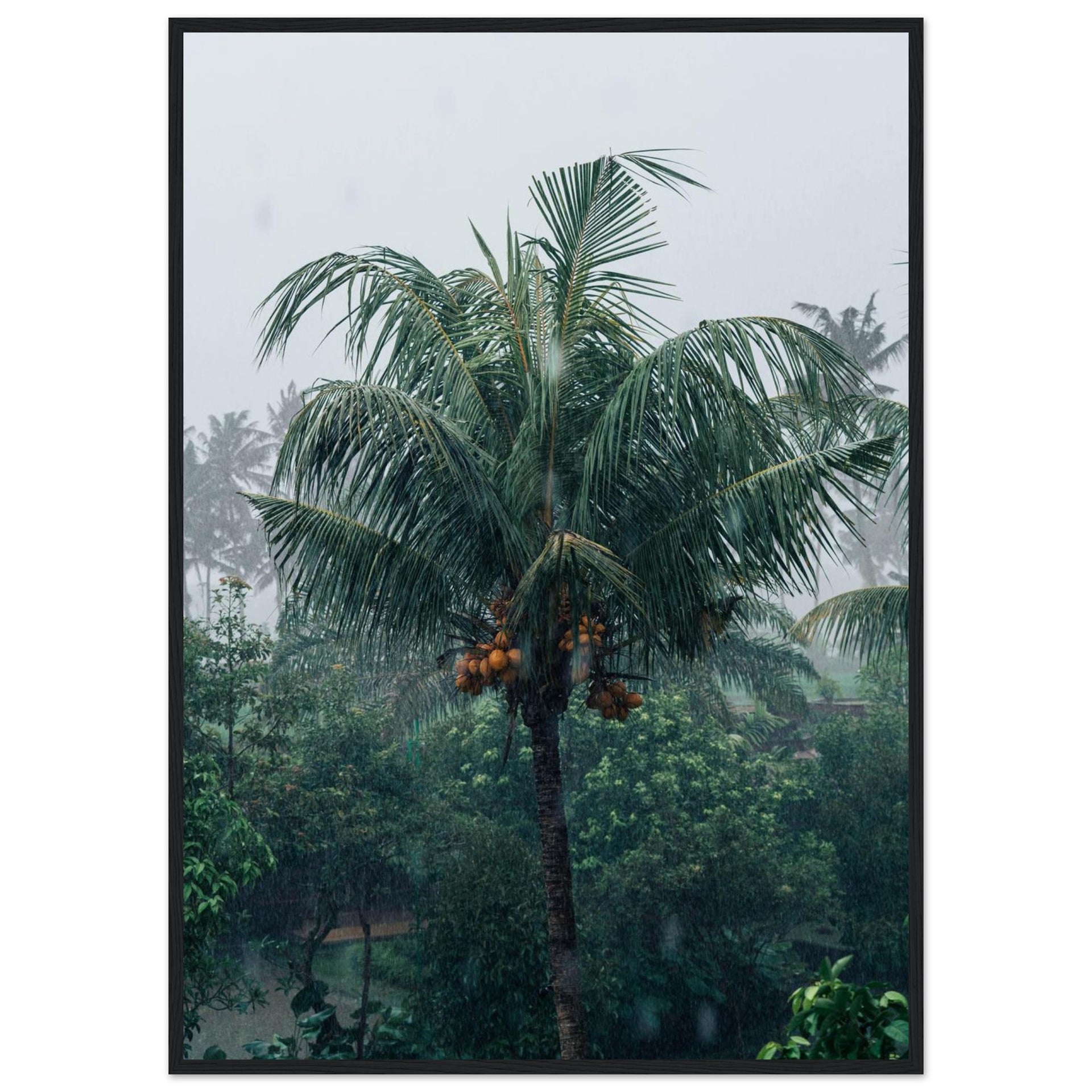 198097b0-f9fd-438b-84e1-06ca027b42c2