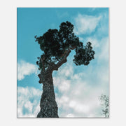 1c69c4df-0eb0-44ac-a514-40a5ffa0e3aa