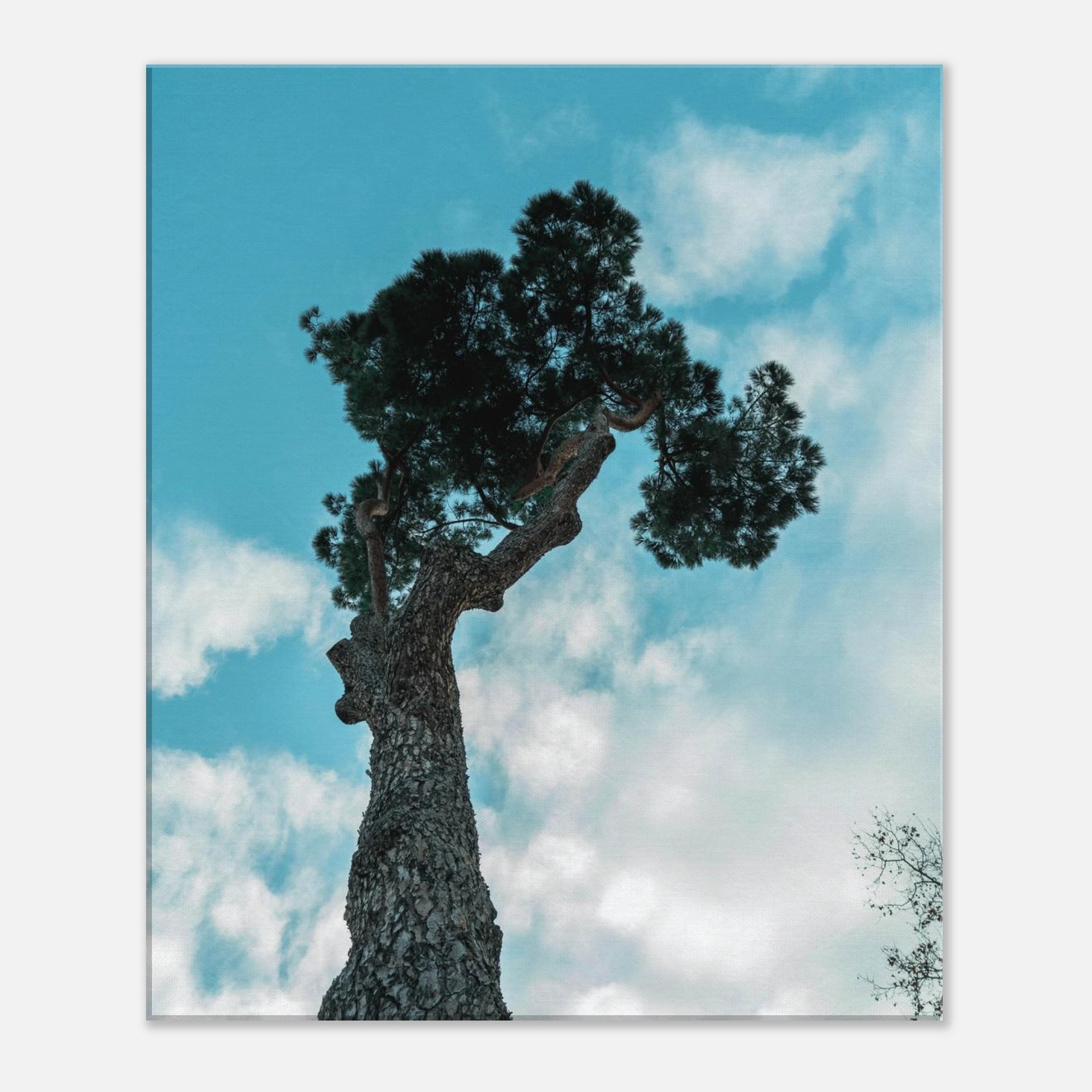 1c69c4df-0eb0-44ac-a514-40a5ffa0e3aa