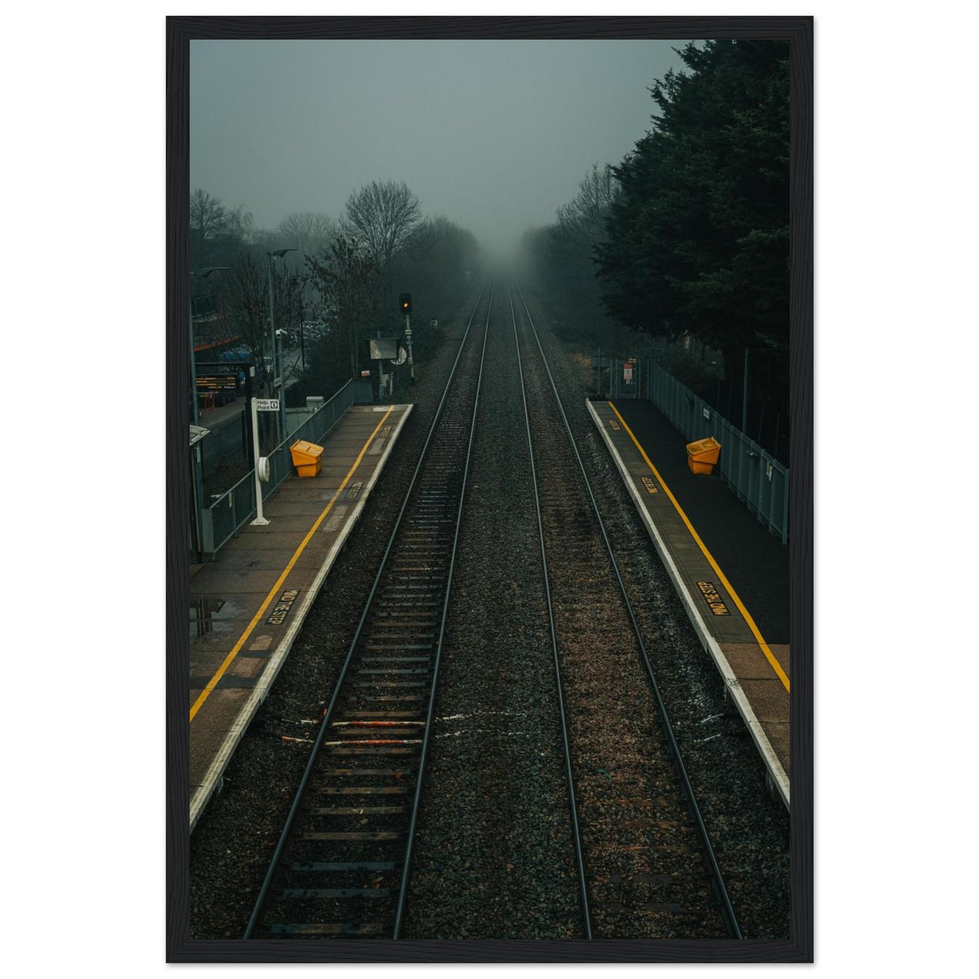 1d1117c5-e57f-49c0-9090-08b34a6bf1a7