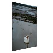 2329a9c2-4749-4e17-b0a0-52ec78a2aad8