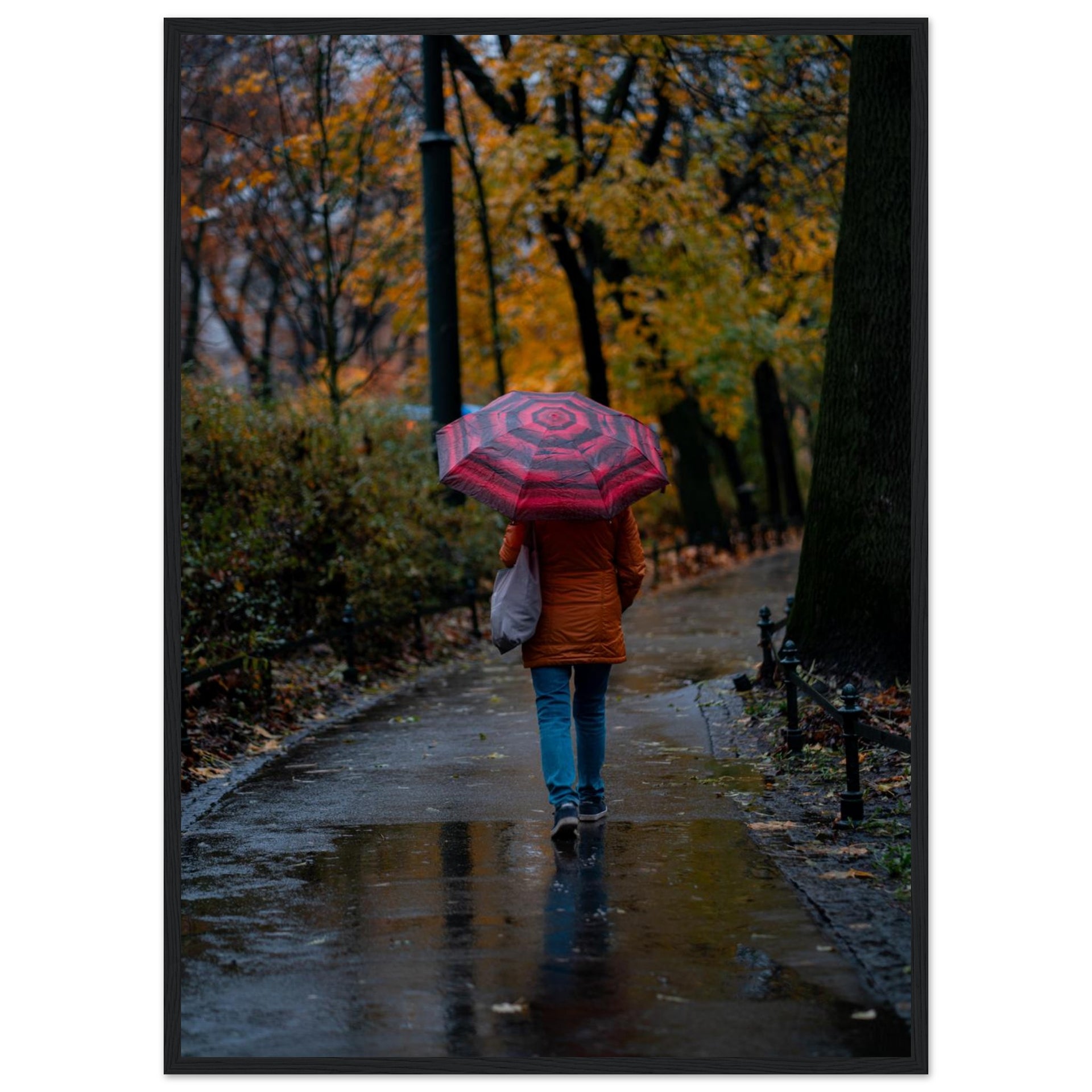 2b29b986-67b5-4c88-a63b-09172735a21b
