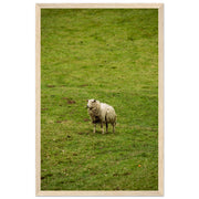 2be74f7c-13ce-4b87-96a3-a93b291de9be