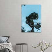 335aea13-69c4-4726-aad1-68afe78fd6b1