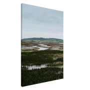 3db65d05-b5a8-461d-8b68-239305ab9d17