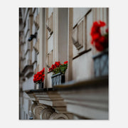 50d20ca0-4843-4771-9e9e-cedefe95a610