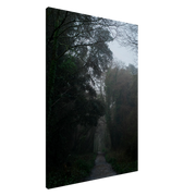 553e6121-7999-4160-95db-78e5d3350132