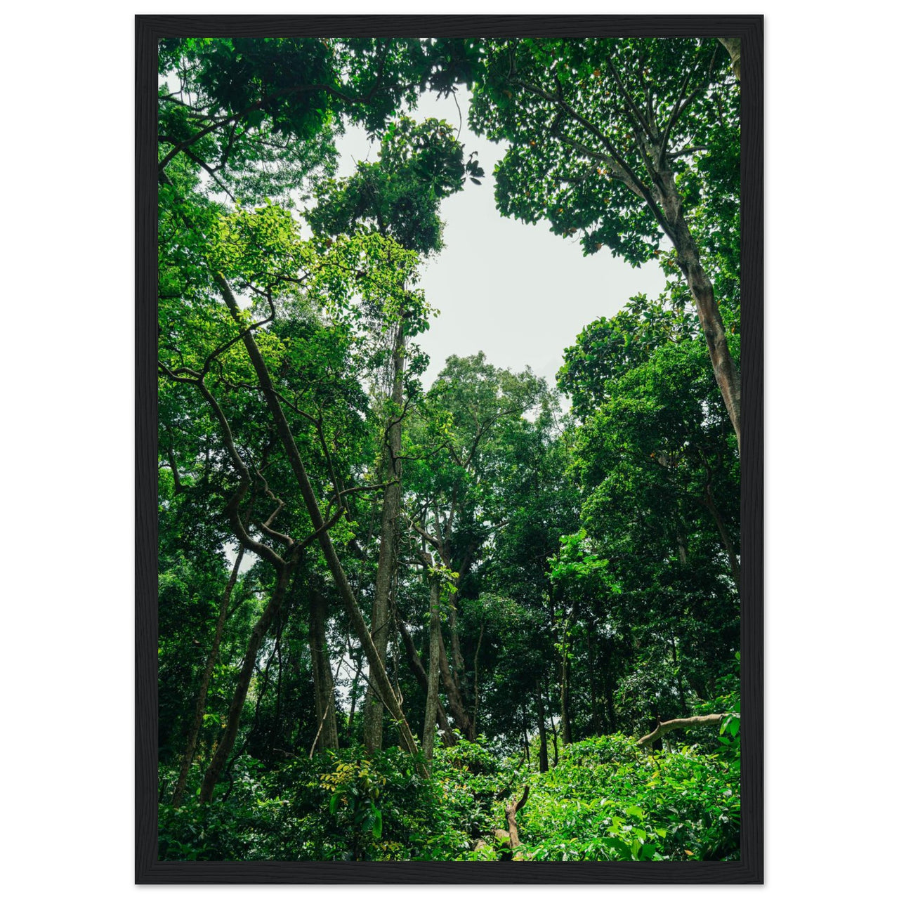 5af3eaea-c45b-4c1f-a68f-8781b23d196d