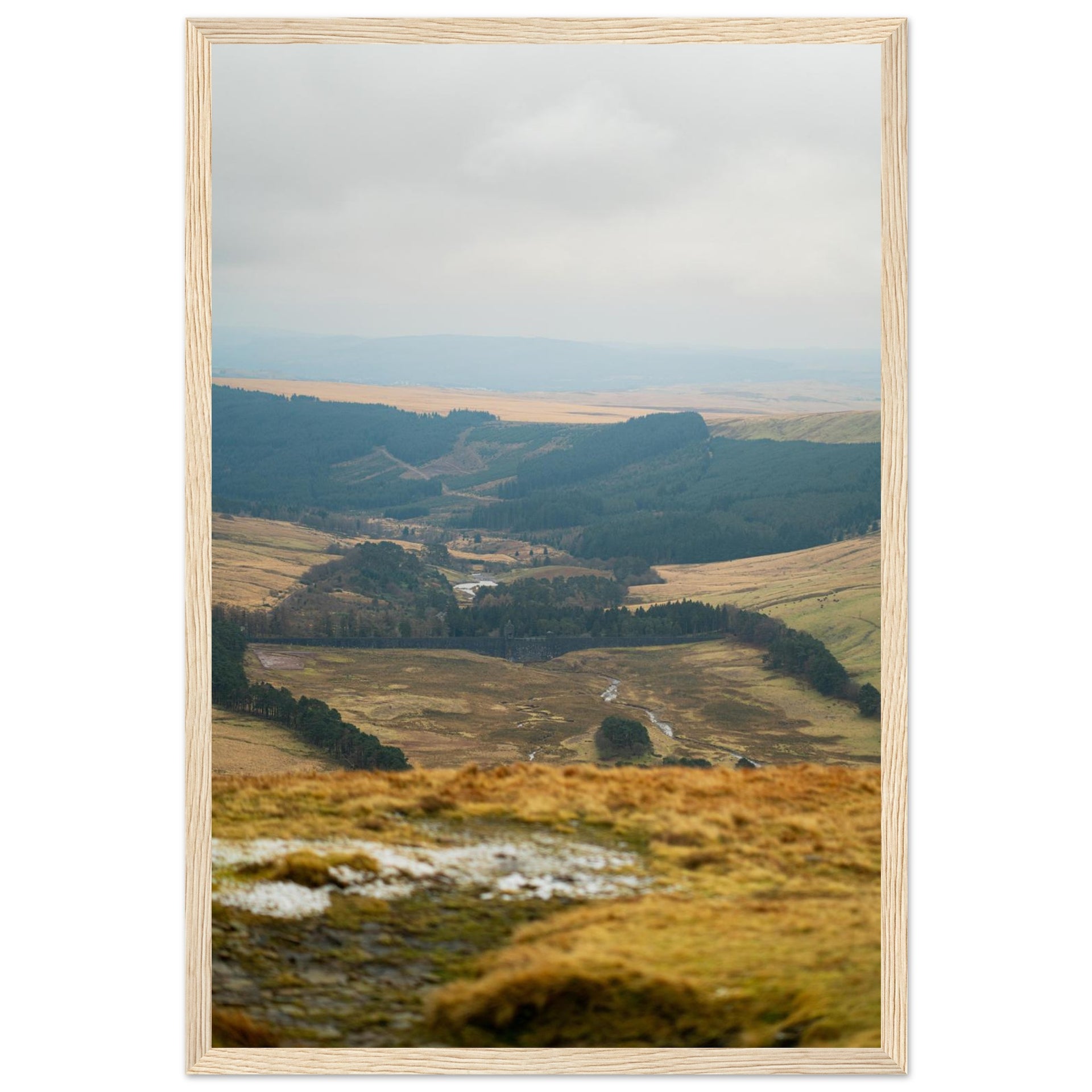6f776bc2-0082-48df-924c-4c4000b8c346