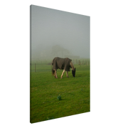 7125afc3-64d1-4853-96ff-628614e24096