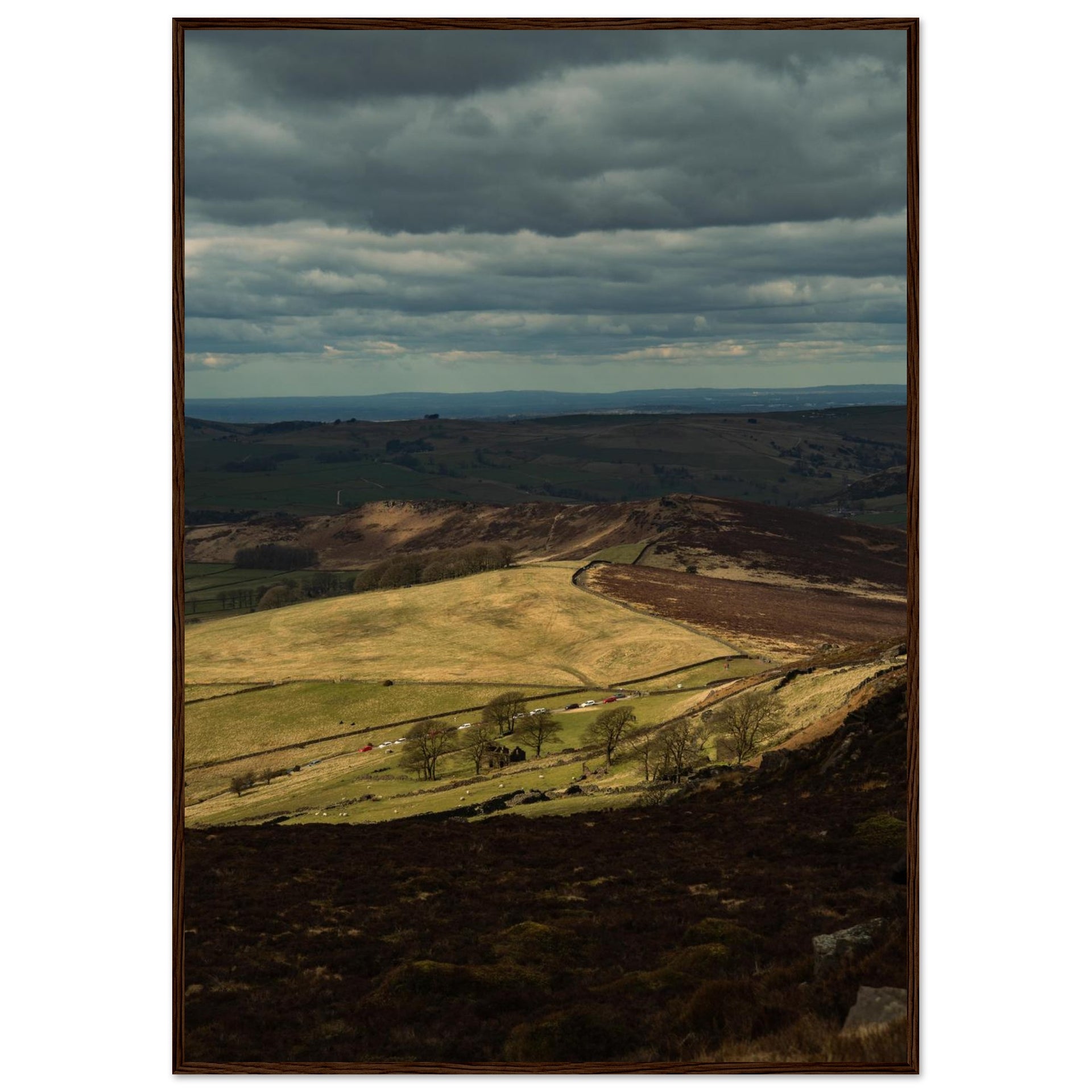 7a965ba6-8aac-448c-beae-225c414f7908