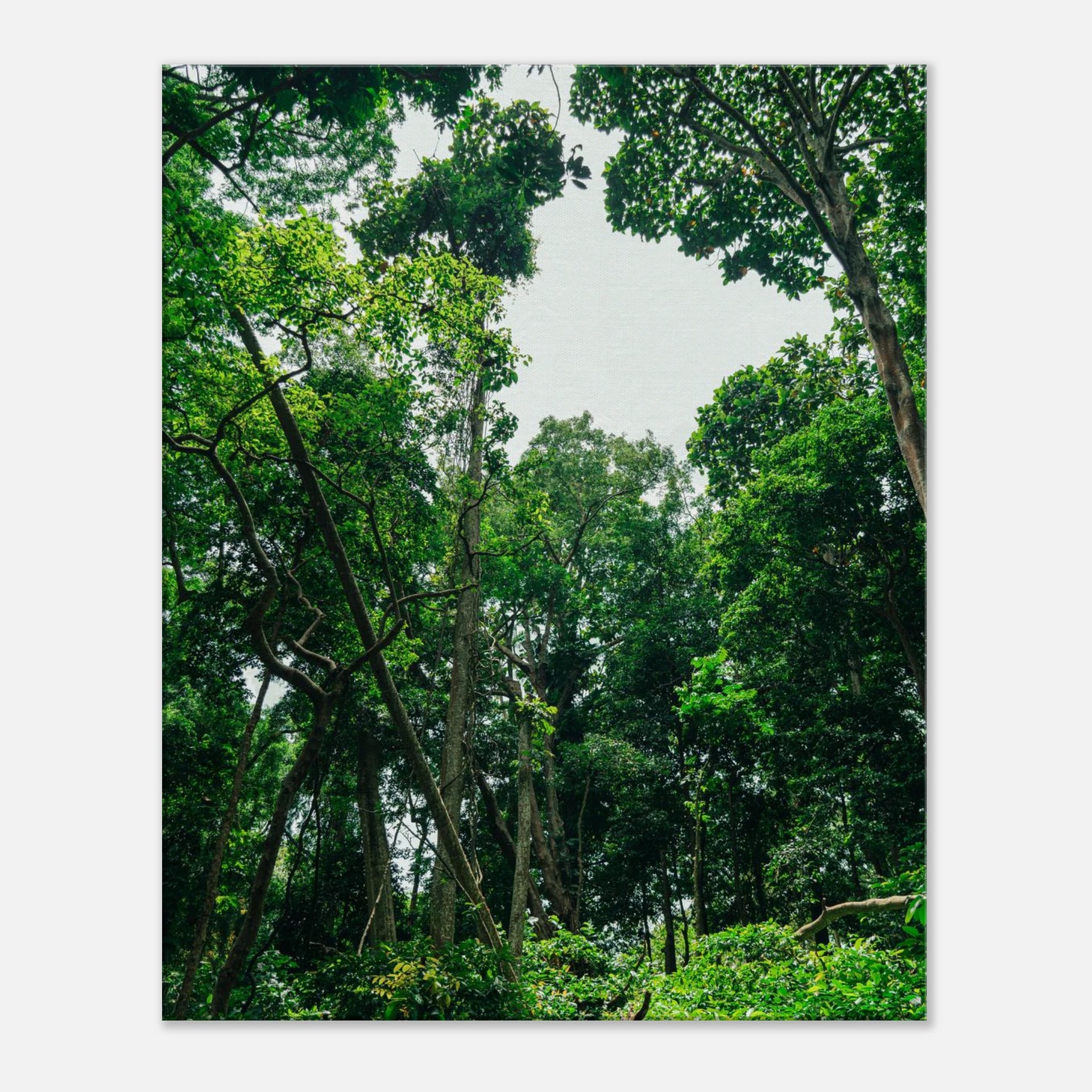 7eae9330-b2a0-40f4-9c26-974127f43a08