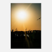 7f88edbb-c317-465f-b0d3-05dc7b34247f