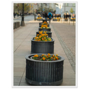 9f06cd58-4c7a-4dec-a129-5e8319c5c337