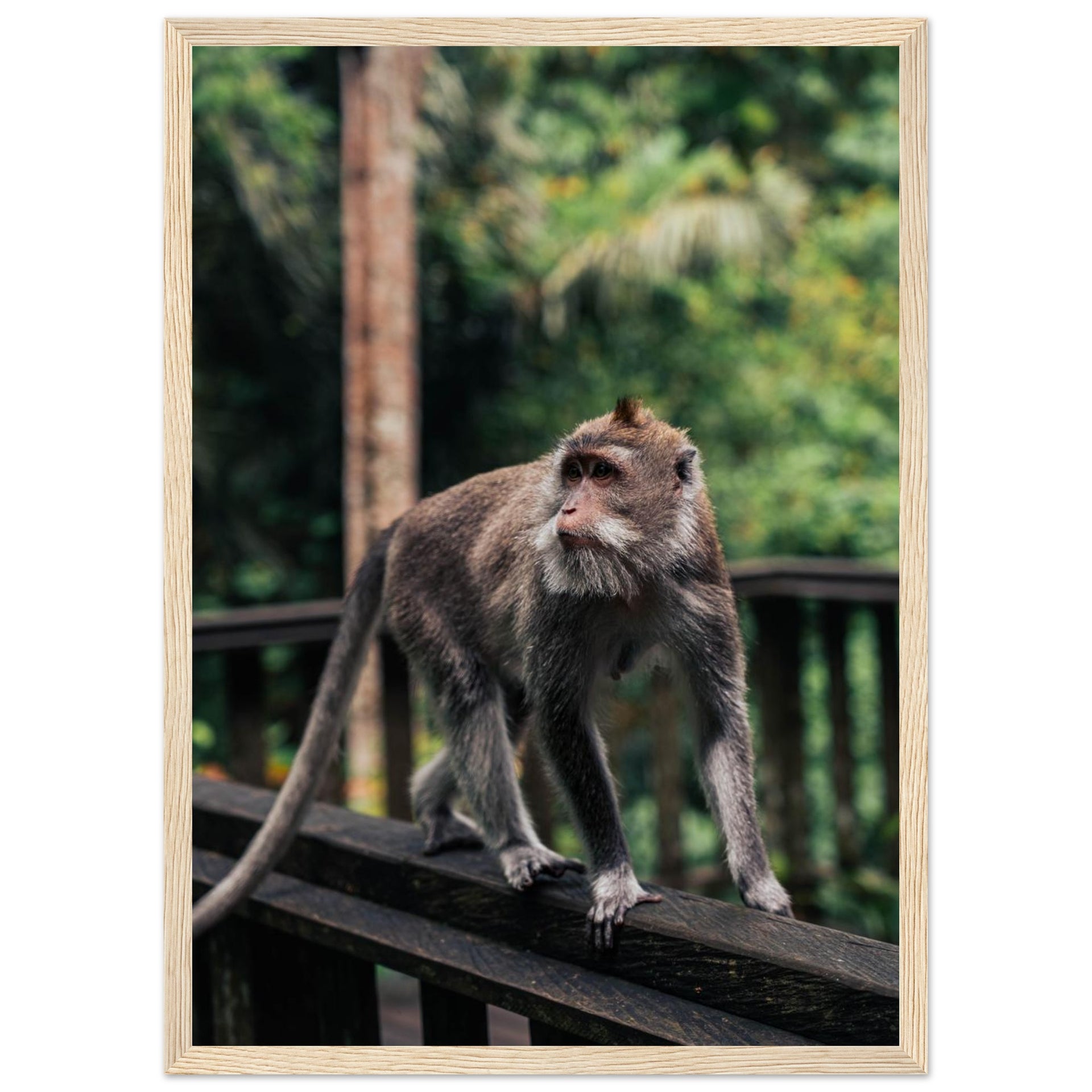 9fbe3a4a-2be0-4f2d-aaa5-ae5cf3c7fab9