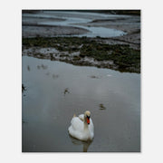 a6decae1-733c-46ad-b177-5621757020d7