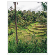 a8ffe069-9d95-4a63-80cc-899289a4ab1d