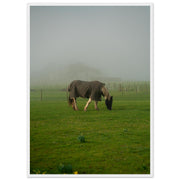 a9836fdc-7a93-465a-8796-1c2db843bd58