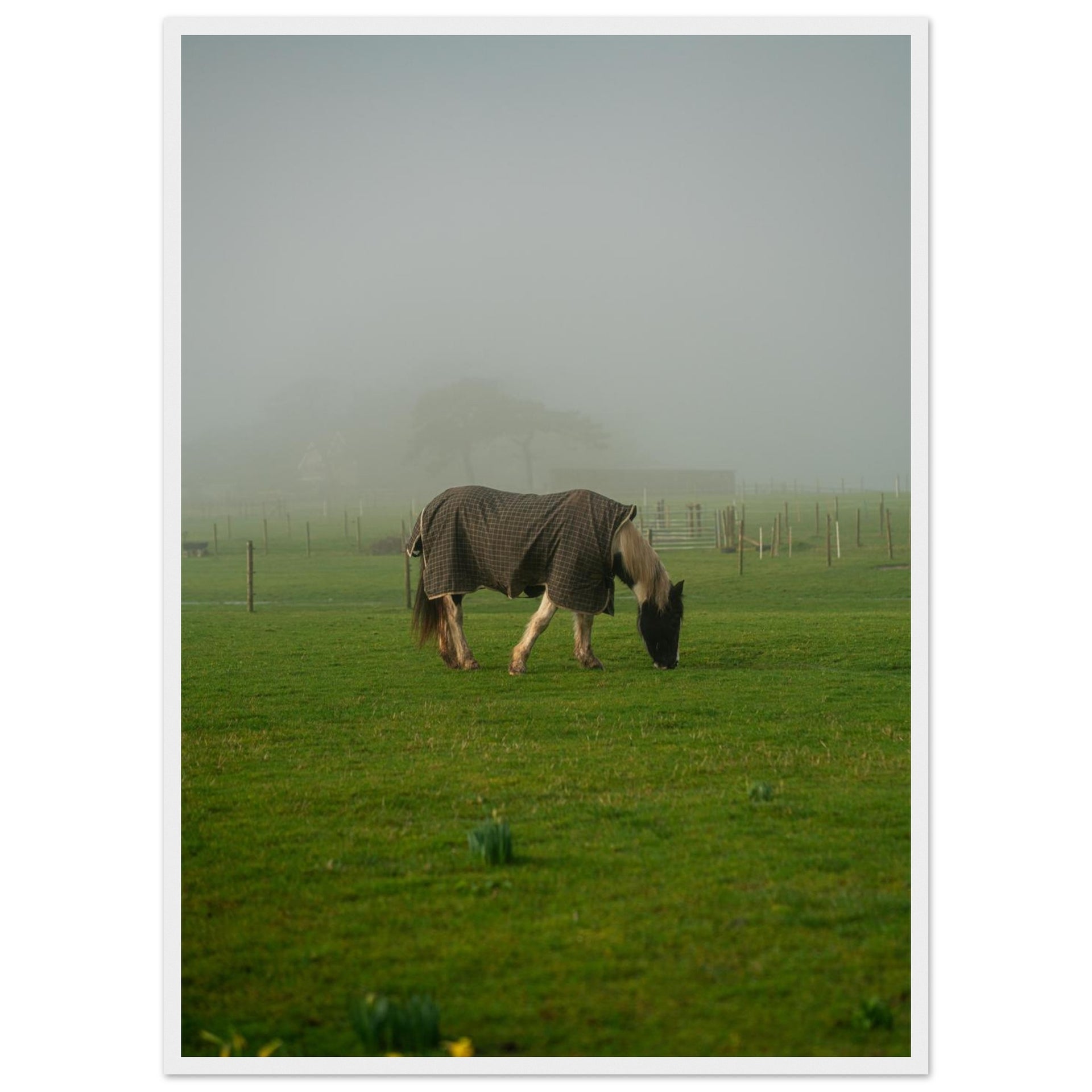 a9836fdc-7a93-465a-8796-1c2db843bd58