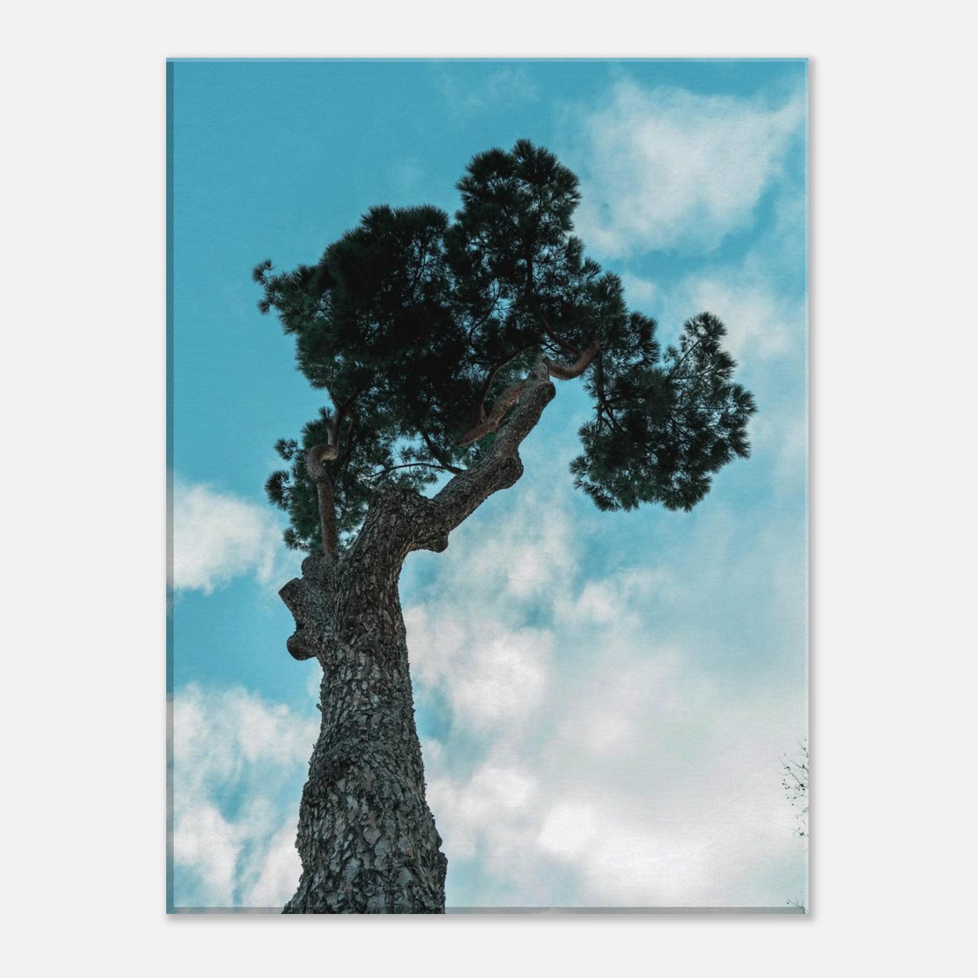ab1fa294-7a23-4506-9faa-4a17099625e1