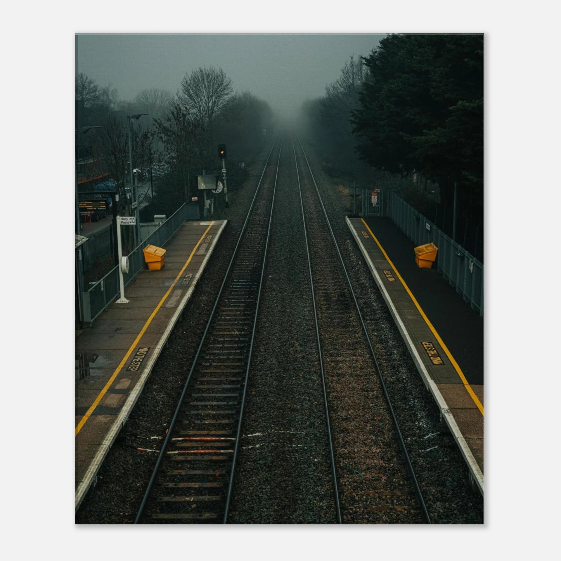 b0bf1ed7-de8f-4ac4-bbf1-1c5305fe4a64