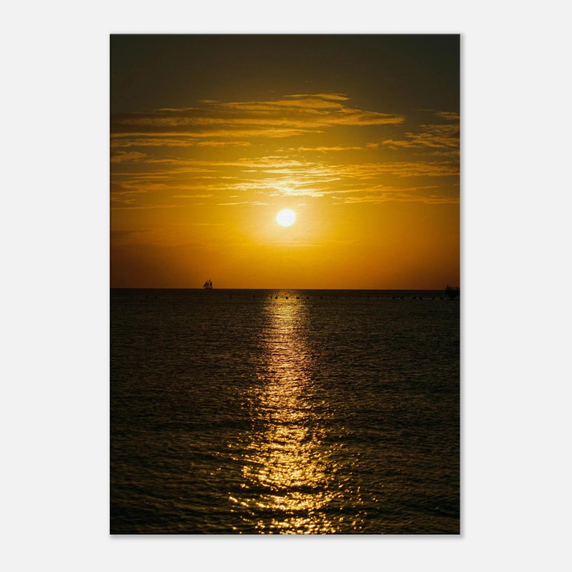 b2451865-4a4a-4213-9689-376b9ae0bfd2