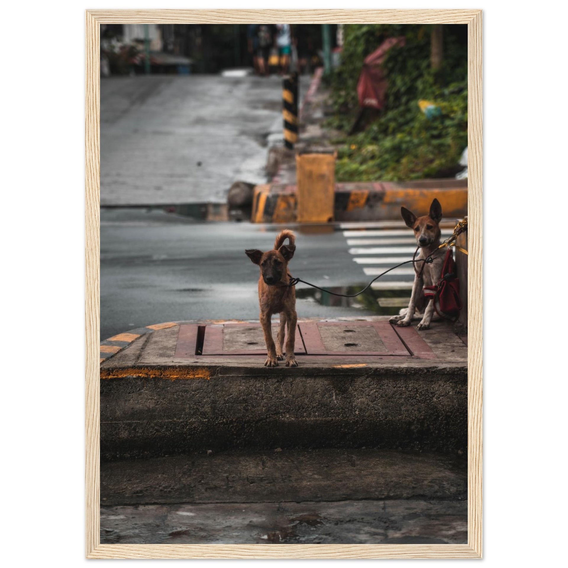 c2c2f79c-0fd6-4eb6-9abd-cadda220a645