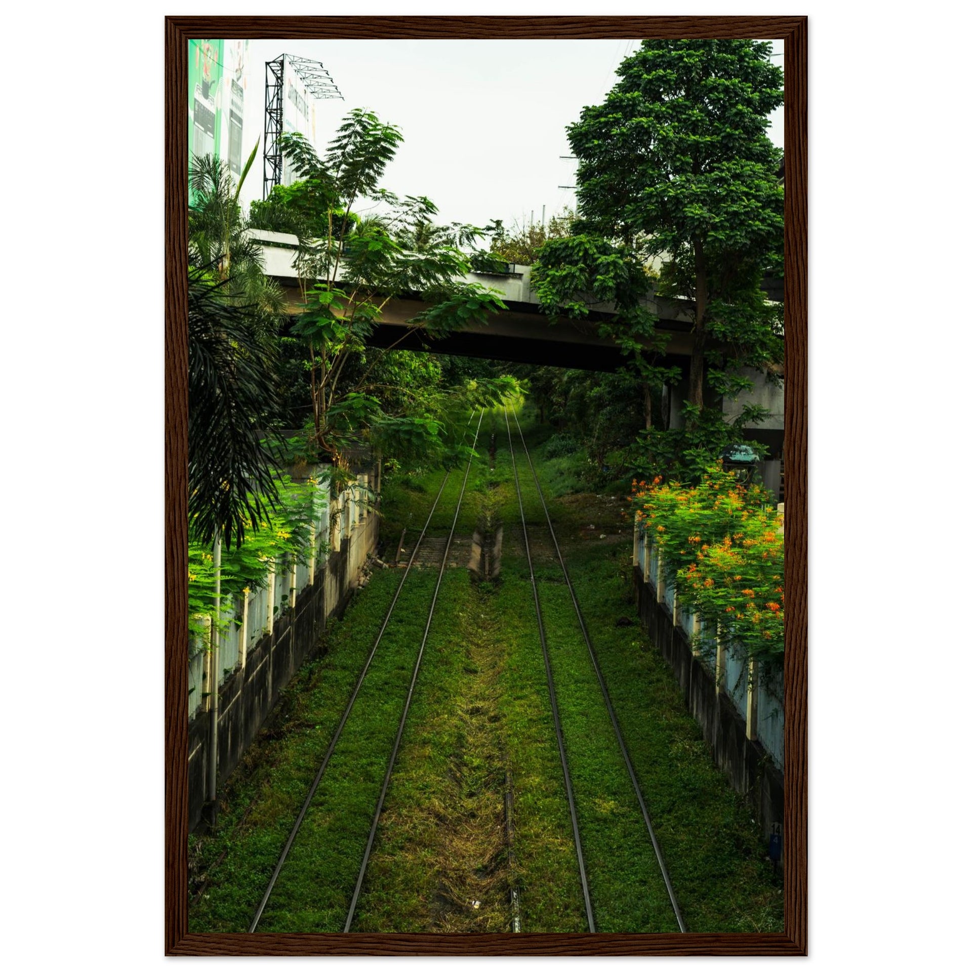 c31af9aa-6e1e-4f44-a911-b2d38ad9f429