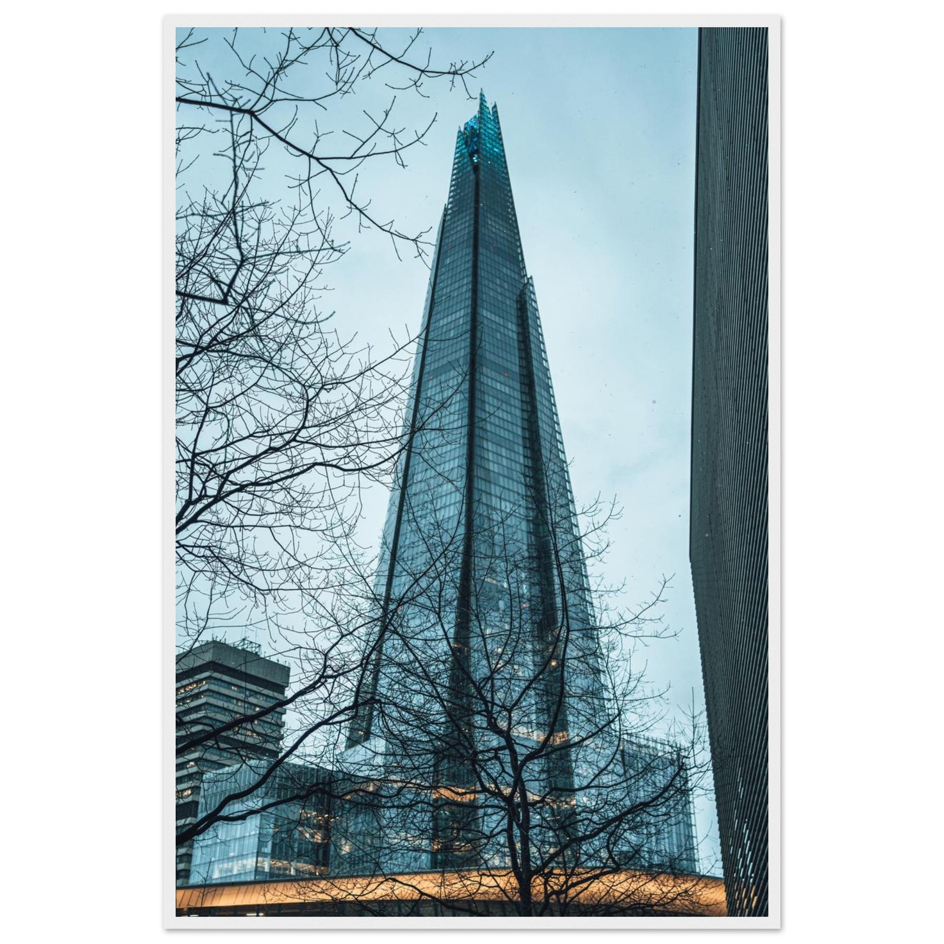 c52c03fe-a746-492f-a098-2dfee6adce04
