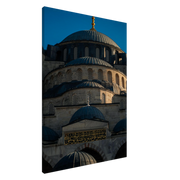 d06e2161-5645-4ba2-ad9e-d392526b7ac1