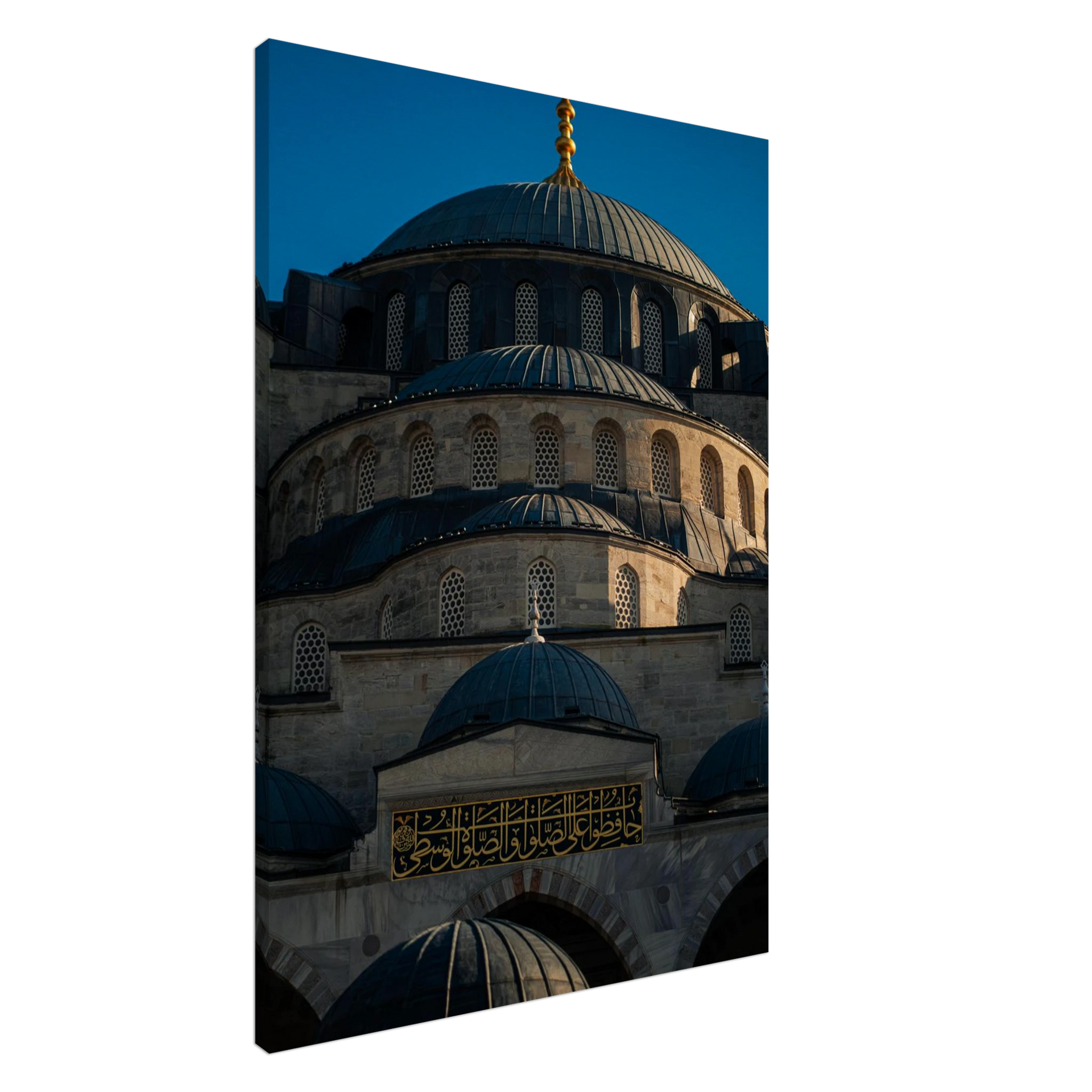 d06e2161-5645-4ba2-ad9e-d392526b7ac1