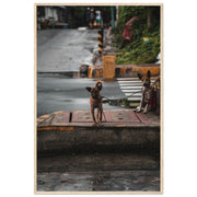 d320a459-1fb1-49bf-83c9-21c0263a20a7