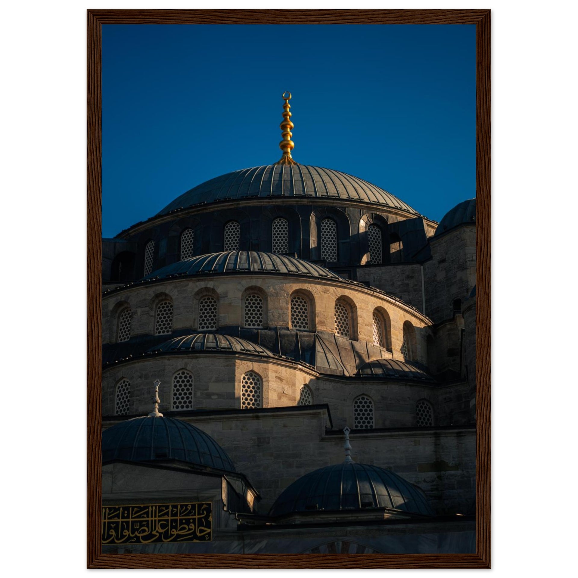 d830f657-ba43-41ad-a904-d7e961acc42f