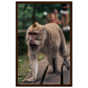 d8377056-c12b-41ac-b710-58770854e535