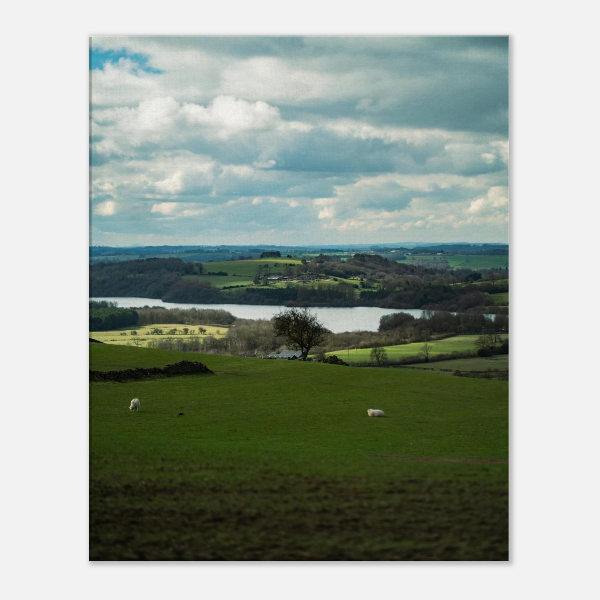 f1e06715-d182-4dd7-96a9-e5fd37be126b