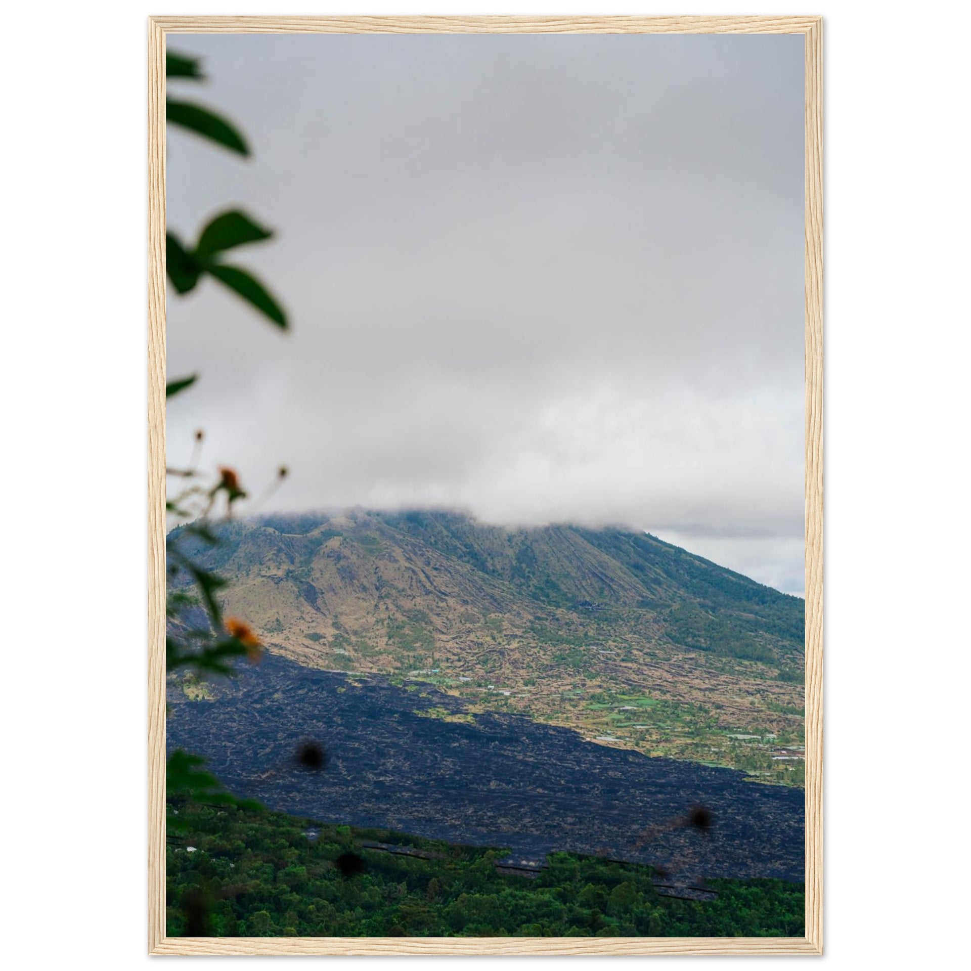 ffd03f91-3d2d-4b9b-b146-6acfbb445ea3